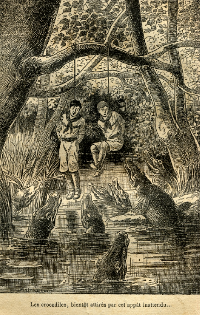 Illustration de Maitrejean - Page 217 - Légende: Les crocodiles bientôt attirés par cet appât inattendu…