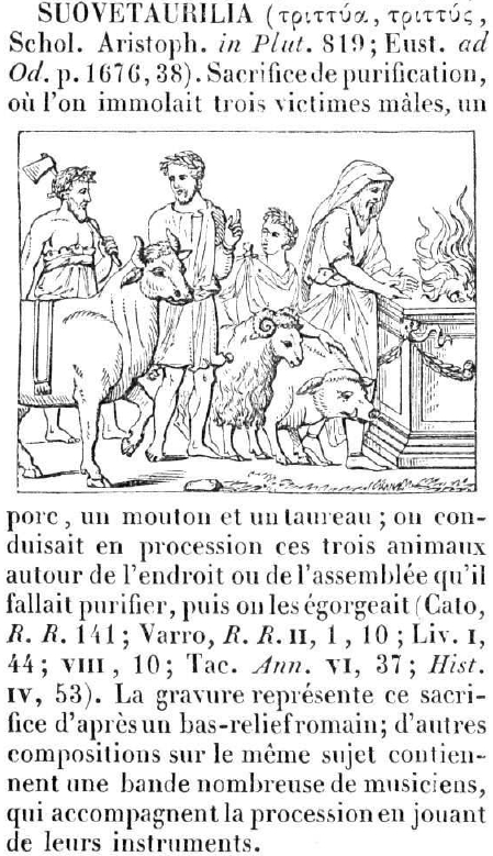 Reproduction de l'article SUOVETAURILIA (p.614, col.1), du Dictionnaire des antiquités romaines et grecques d'Antony Rich (Paris : Firmin Didot, Frères, Fils et Cie, 1861). Vue à 250%.